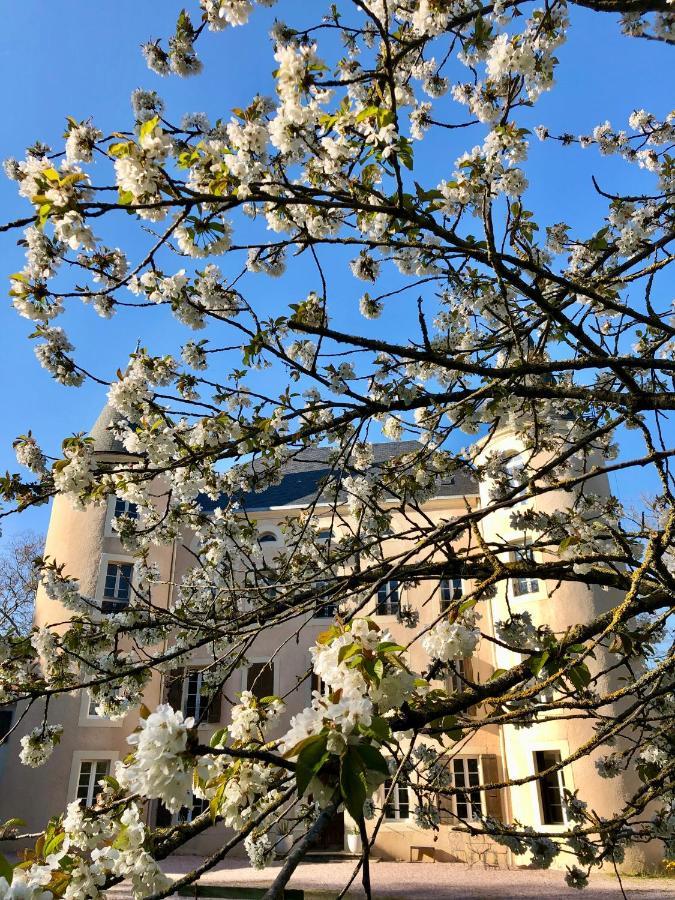 B&B Chateau Bel Aspect Salles-sur-l'Hers Exterior foto